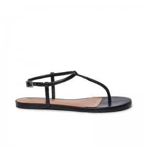 Black Bernardo Haven Thong Women Flat Sandals | AAB9675IL