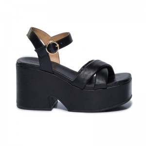 Black Bernardo Weston Women Platform Sandals | FHL124RC