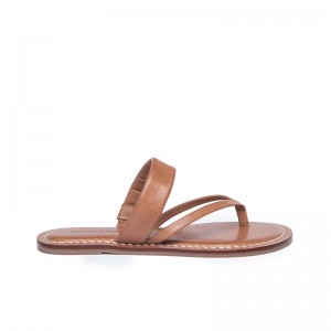 Brown Bernardo Leia Thong Women Flat Sandals | RPV4024MY