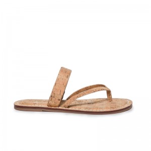 Brown Bernardo Leia Thong Women Flat Sandals | ELE7018ZW