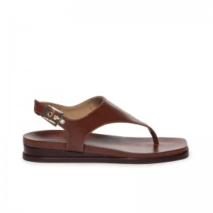 Chocolate Bernardo Concord Thong Women Flat Sandals | RJX6333FV