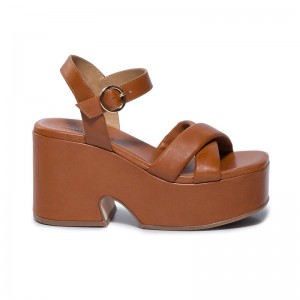 Dark Brown Bernardo Weston Women Platform Sandals | DLE1040KK