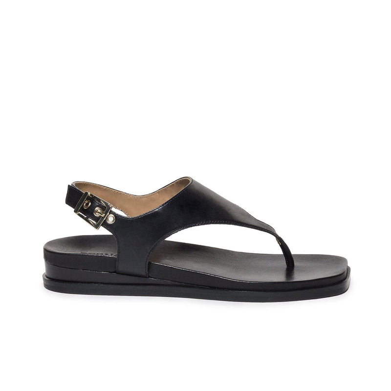 Black Bernardo Concord Thong Women Flat Sandals | YOU5920EF