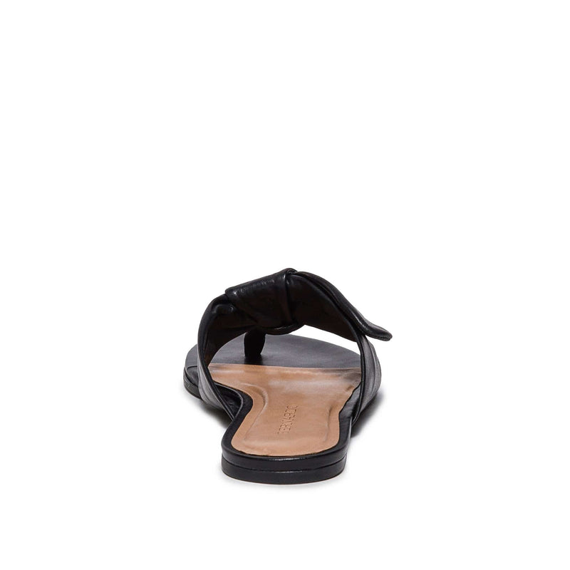 Black Bernardo Harmony Thong Women Slide Sandals | BUM3158TP