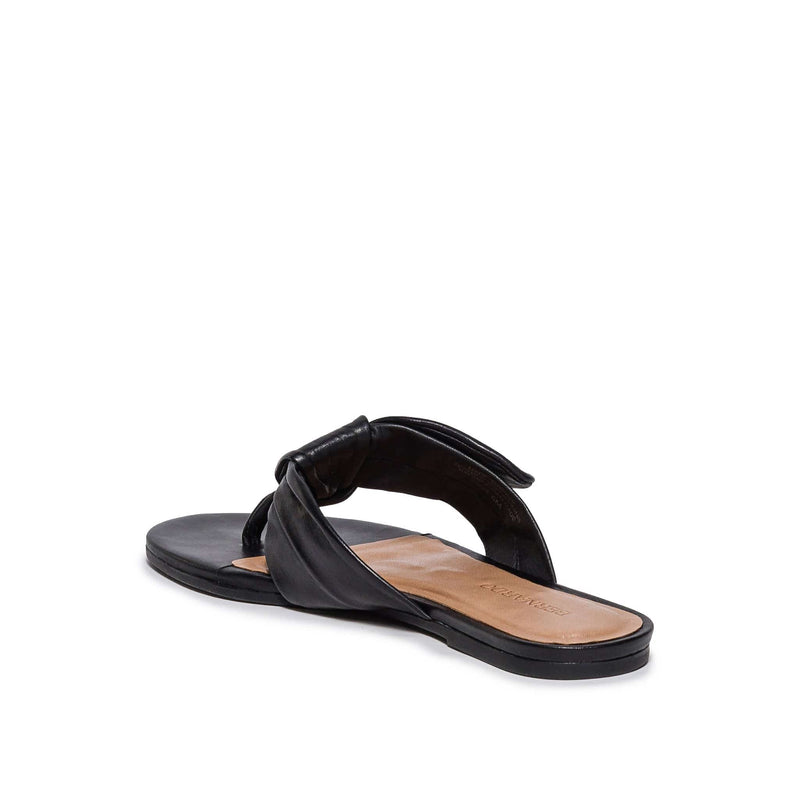 Black Bernardo Harmony Thong Women Slide Sandals | BUM3158TP