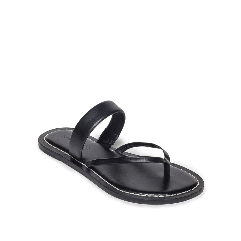 Black Bernardo Leia Thong Women Flat Sandals | PEA2145IT