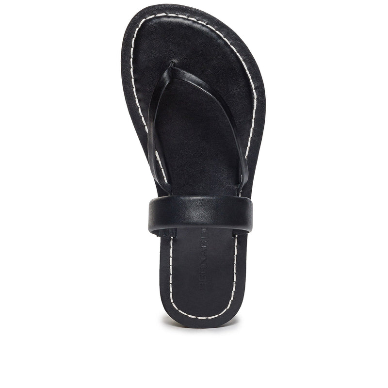 Black Bernardo Leia Thong Women Flat Sandals | PEA2145IT