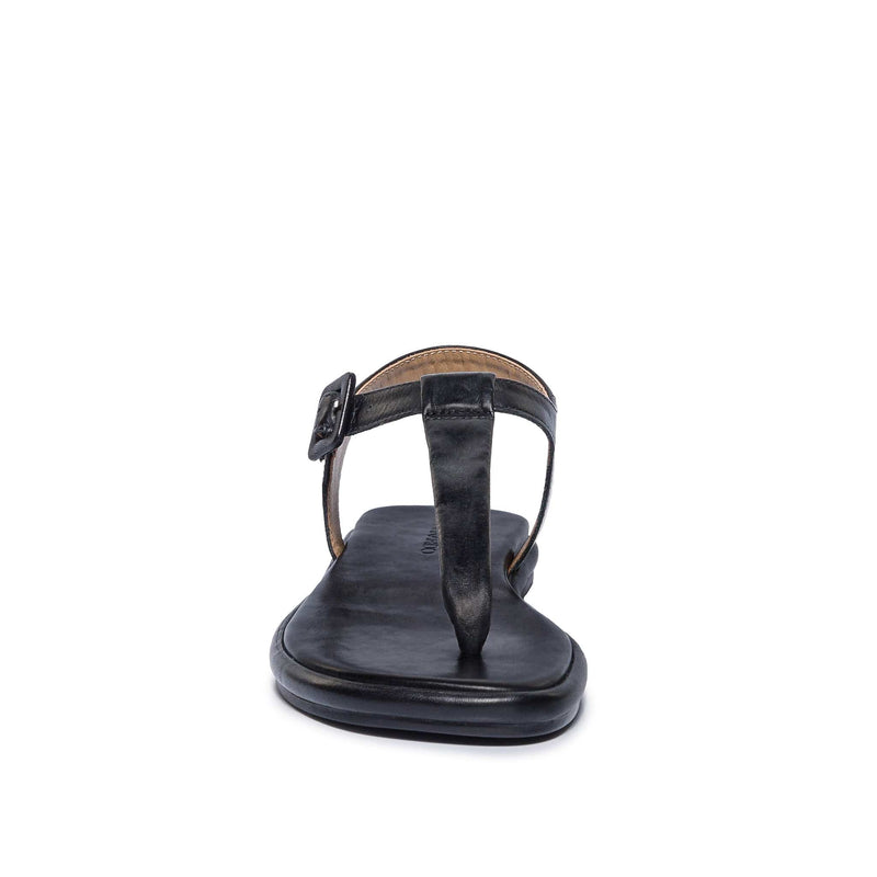 Black Bernardo Tucson T-Strap Women Flat Sandals | LRB6821IL