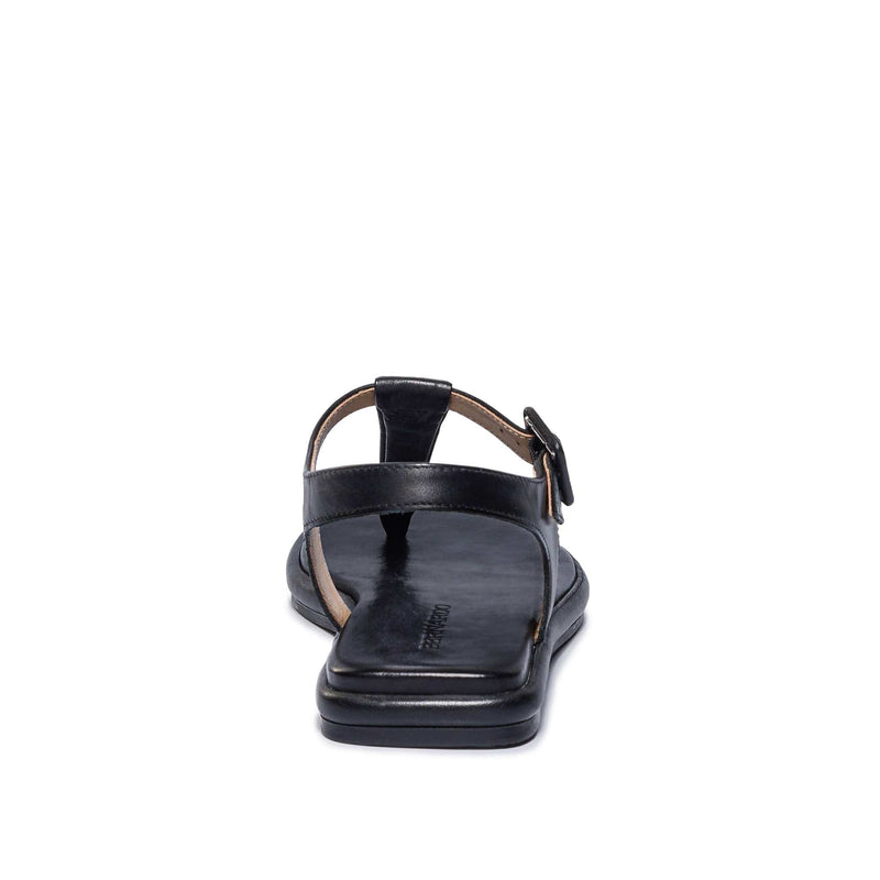 Black Bernardo Tucson T-Strap Women Flat Sandals | LRB6821IL