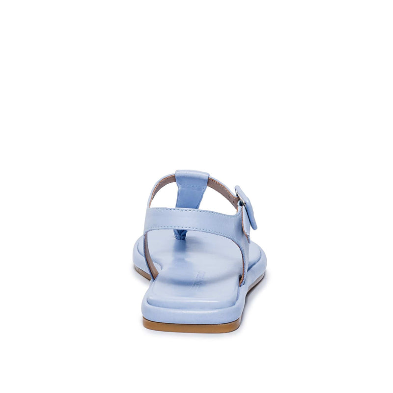 Blue Bernardo Tucson T-Strap Women Flat Sandals | PDO1532CD