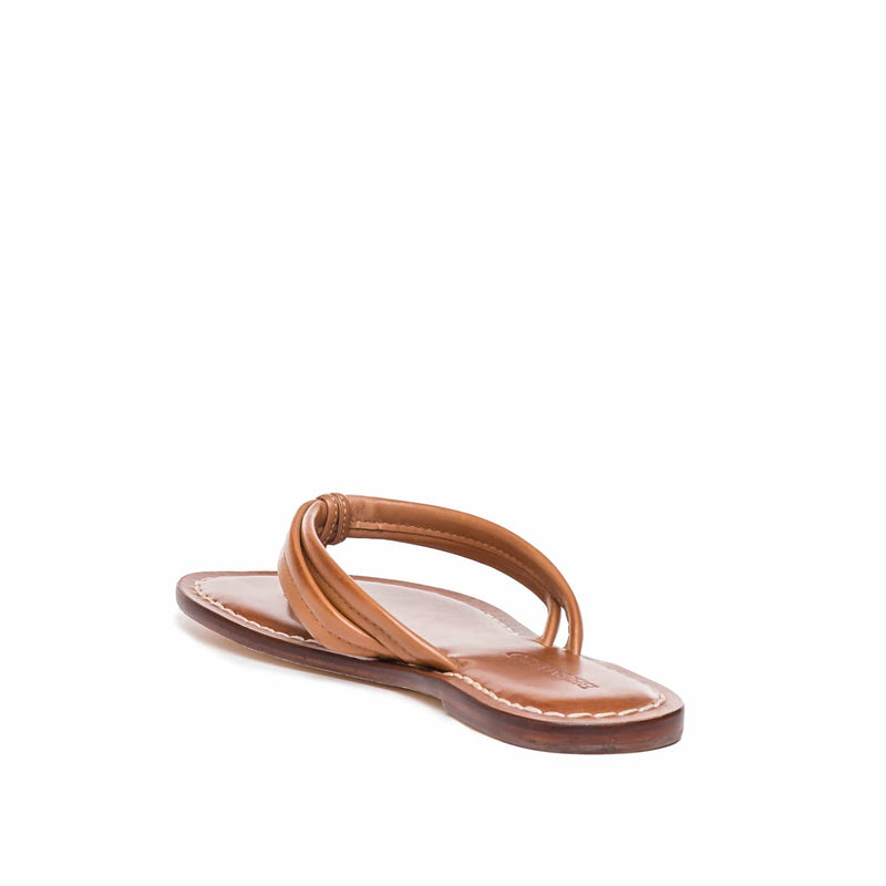 Brown Bernardo Miami Thong Women Slide Sandals | NUN8280ON