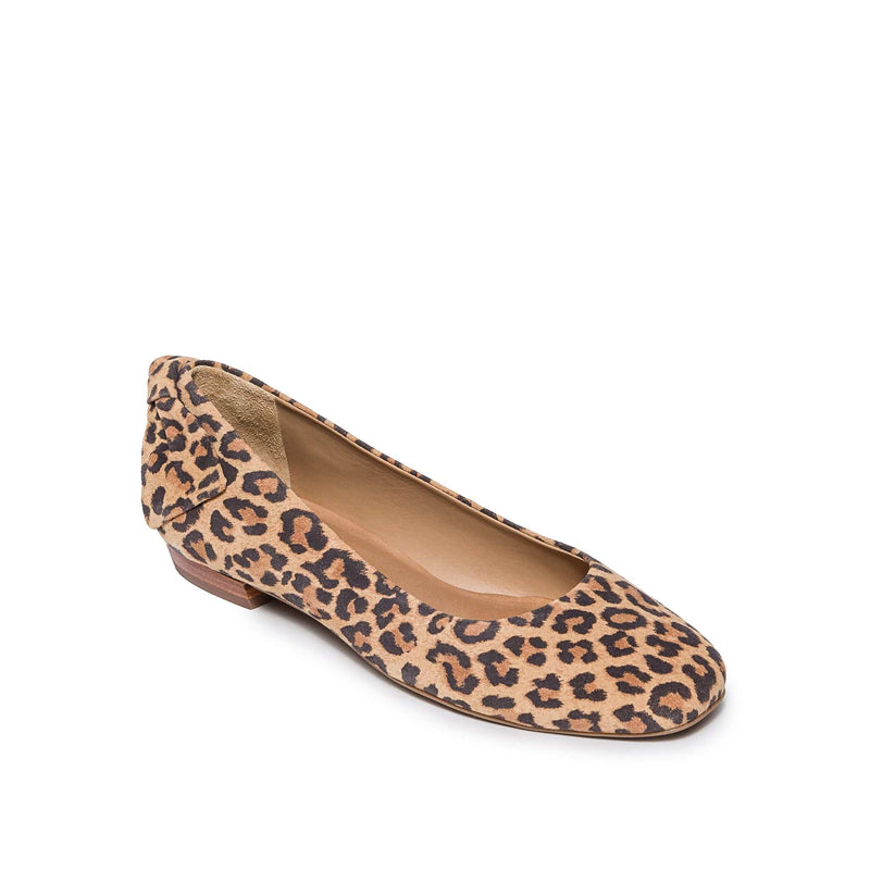 Brown Black Bernardo Eloisa Bow Women Ballet Flats | ZEZ10090SP