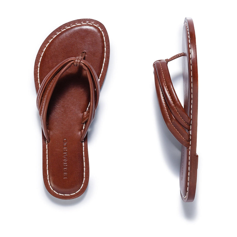 Chocolate Bernardo Miami Thong Women Slide Sandals | HEM9696HC