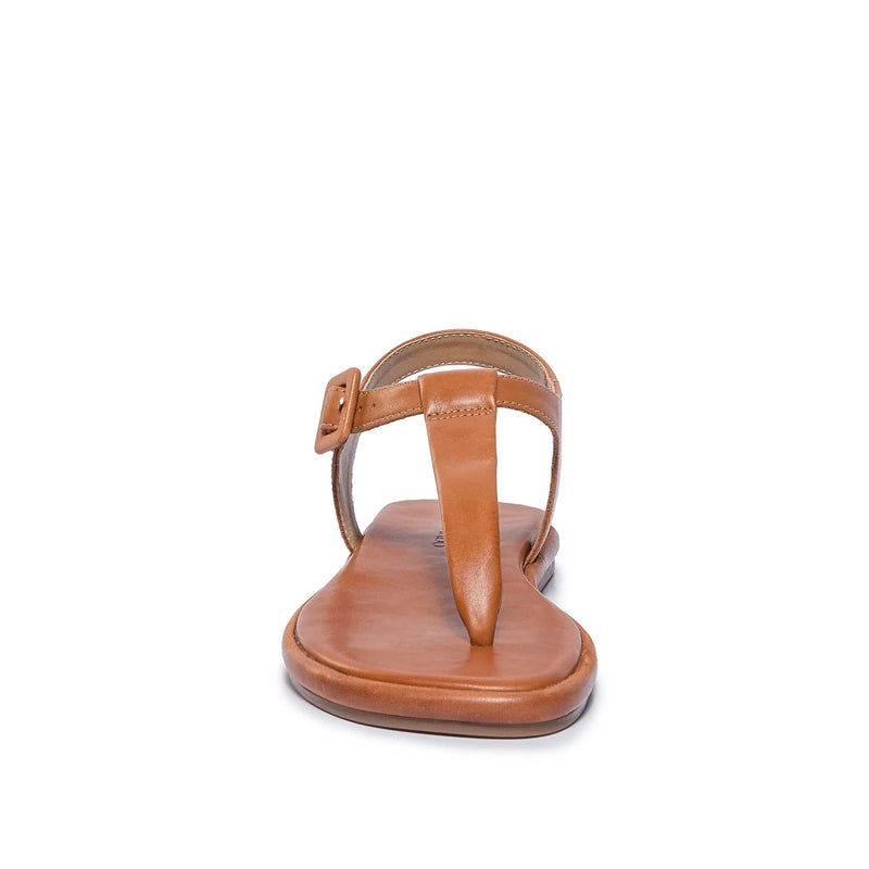 Dark Brown Bernardo Tucson T-Strap Women Flat Sandals | KBM9965SW