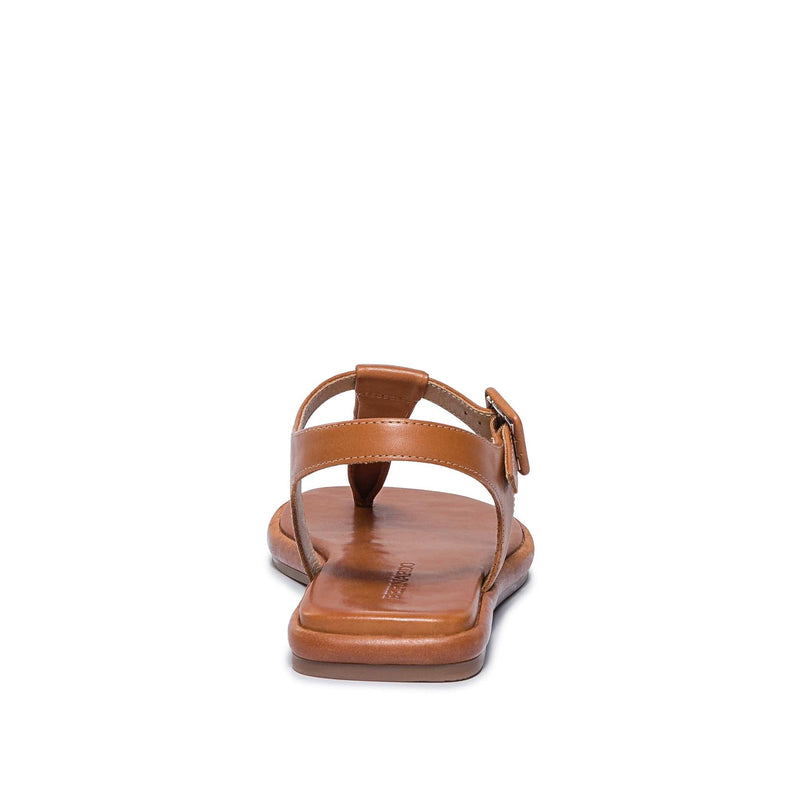 Dark Brown Bernardo Tucson T-Strap Women Flat Sandals | KBM9965SW