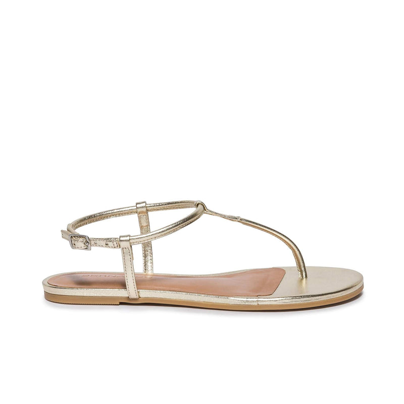 Gold Bernardo Haven Thong Women Flat Sandals | NXM7695TX