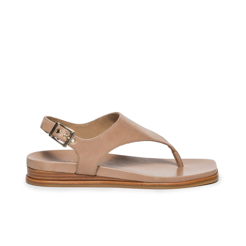 Light Brown Bernardo Concord Thong Women Flat Sandals | YLS1069QK